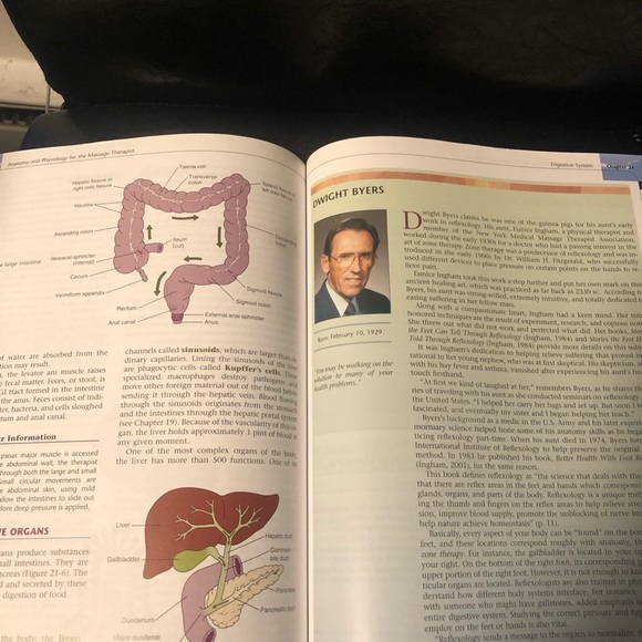 Massage Therapy: Principles and Practice by Susan Salvo Second Edition - Picture 13 of 14